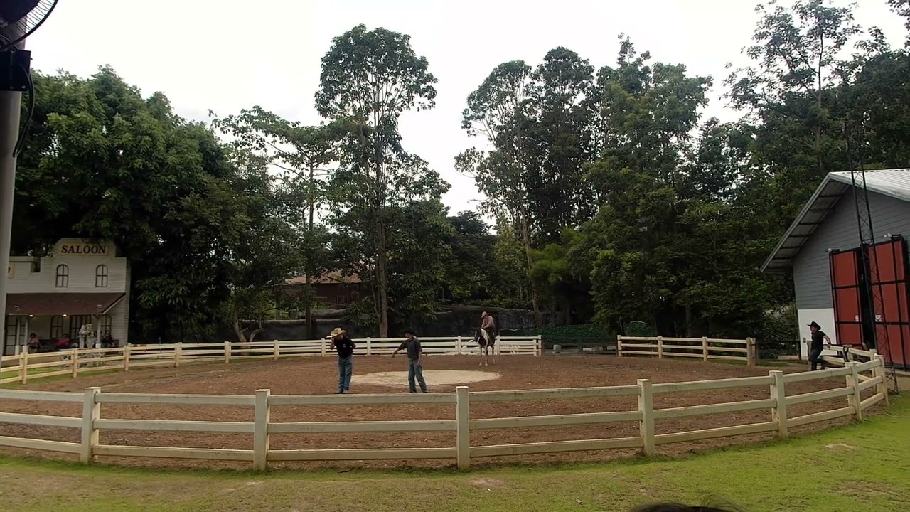 2025/08/13清邁的夜間動物園牛仔表演〖4K〗Night Safari Cowboy Show in Chiang Mai