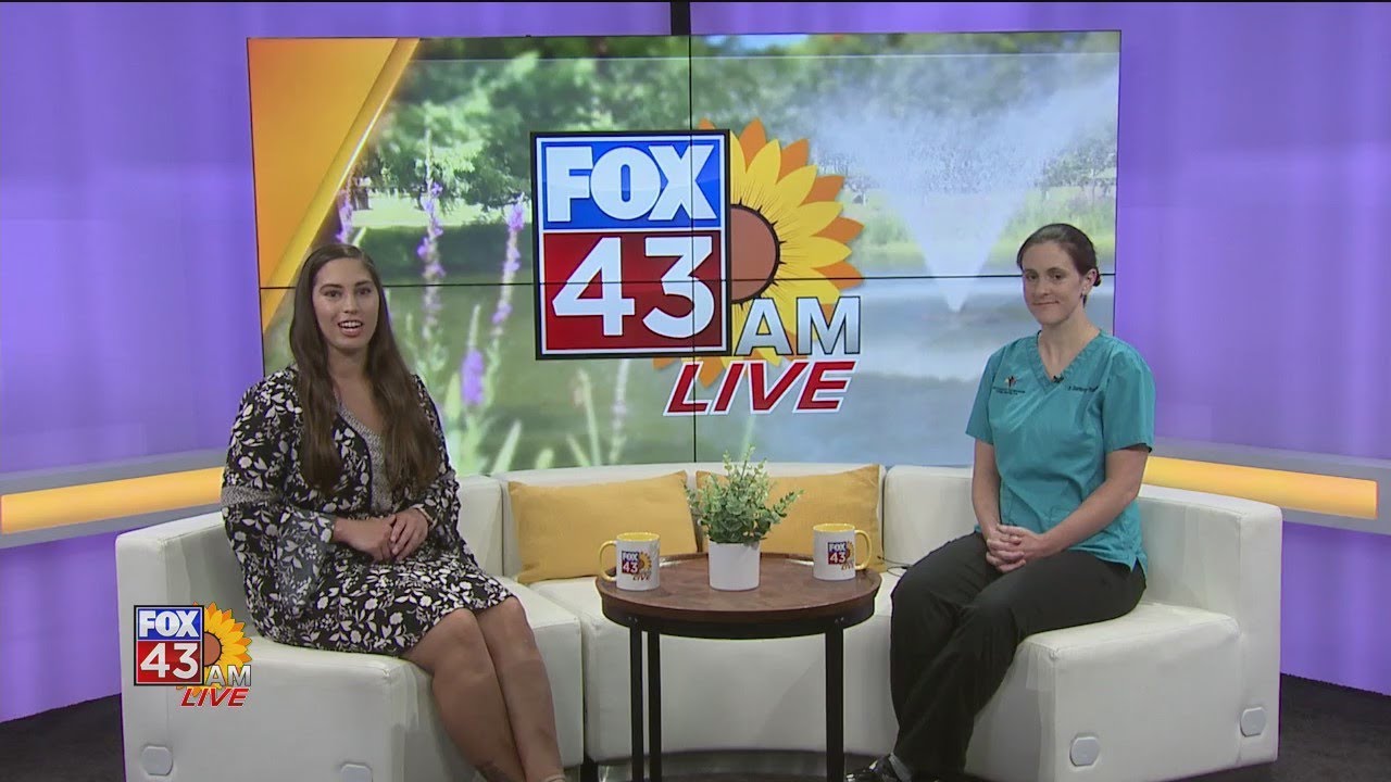 Pet Advice: Rabbit Hemorrhagic Disease