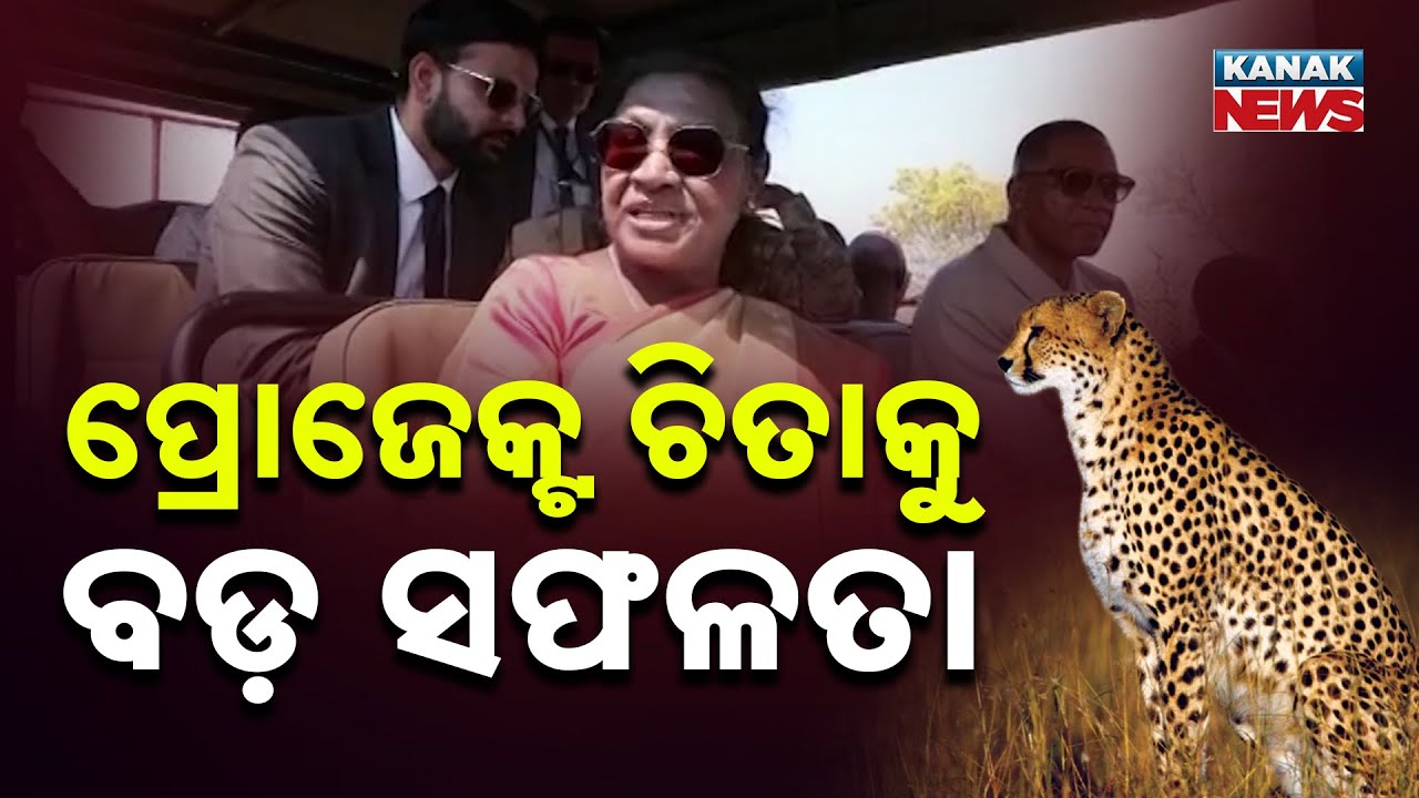 India&rsquo;s Project Cheetah Gets Major Boost | Botswana Gifts 8 Cheetahs To India