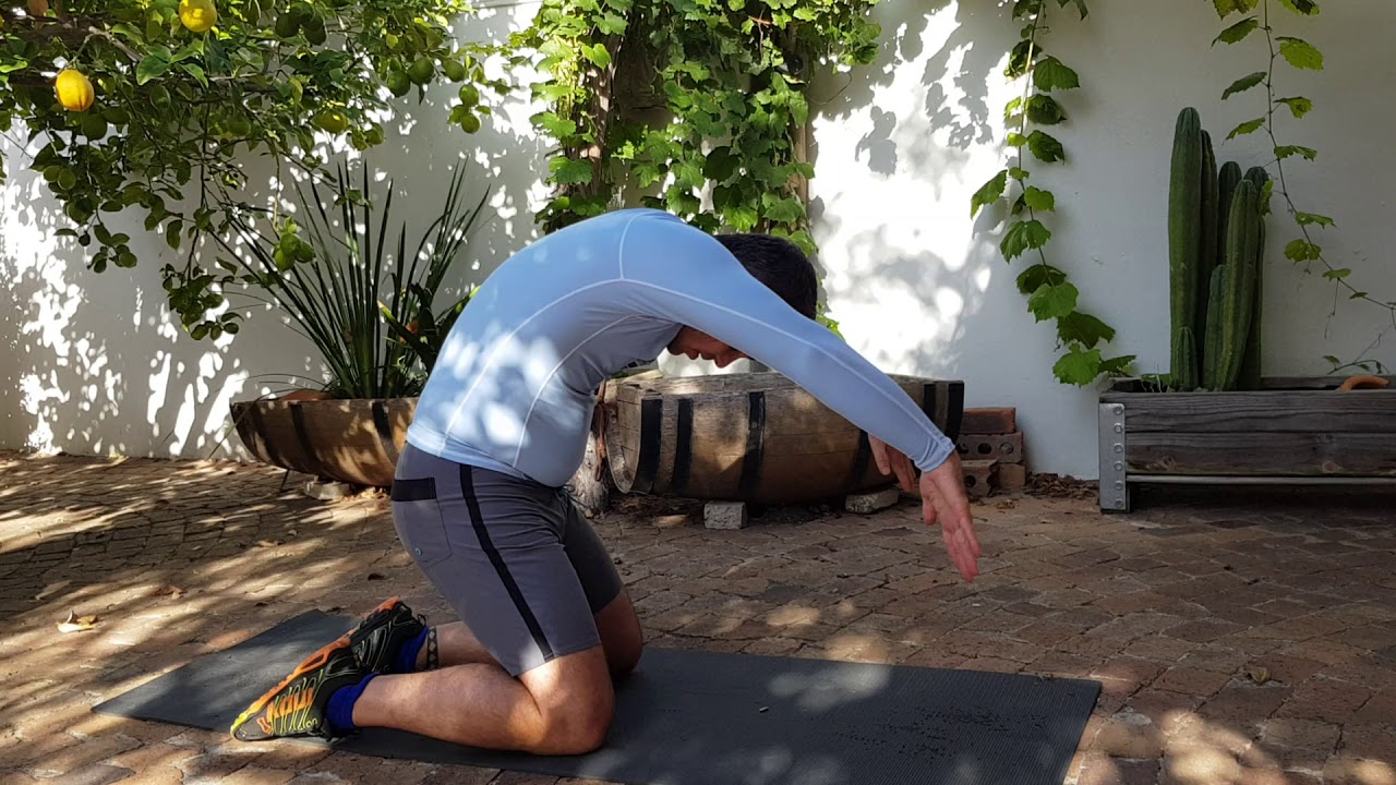 Dryland Breaststroke arms