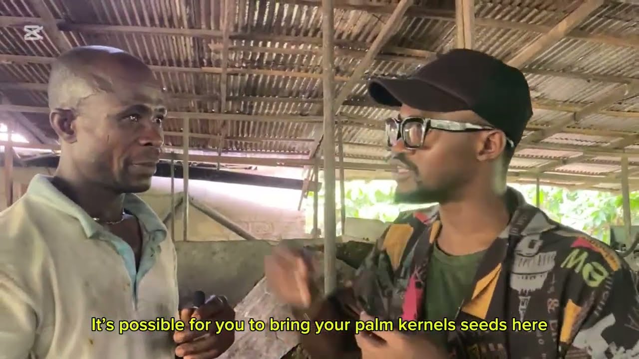 How Palm Oil Can Make You a Millionaire in 2025 (No Joke!)