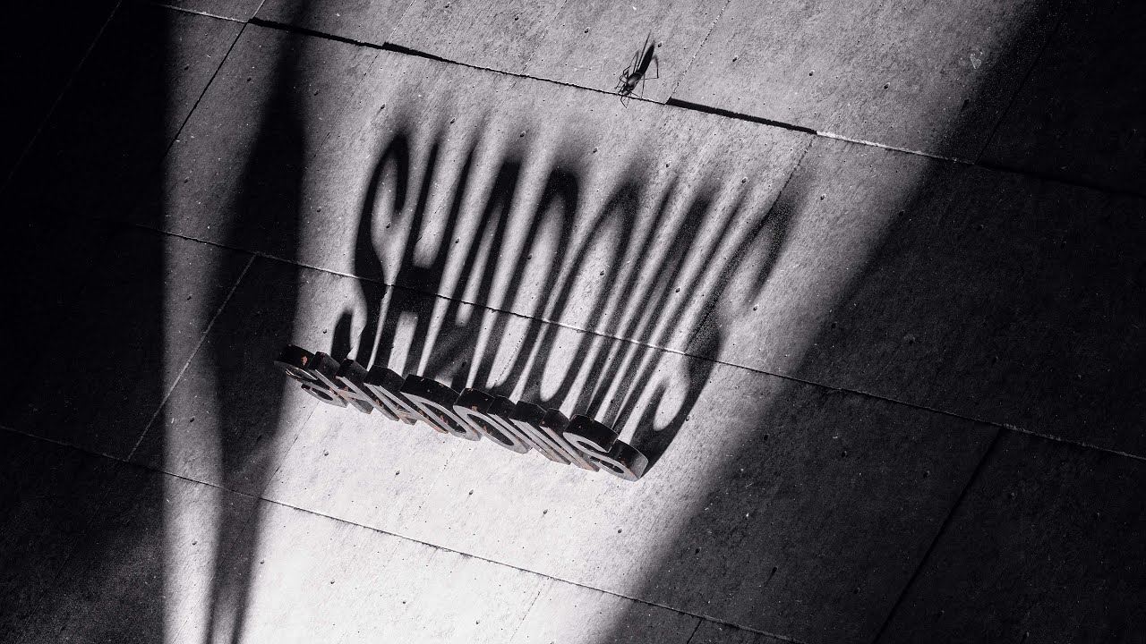 Sub Sonik & RAYZEN ft. TNYA - Shadows (Official Hardstyle Visualizer)