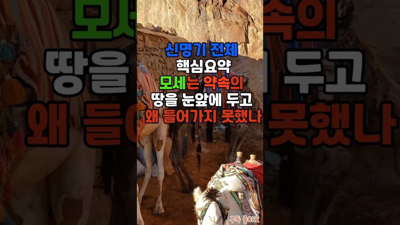 신명기 핵심 요약 모세는 약속의 땅을 눈앞에 두고 왜 들어가지 못했나 #신명기, #모세, #성경, #구약성경, #성경이야기, #기독교, #말씀, #설교, #신앙,#성경핵심