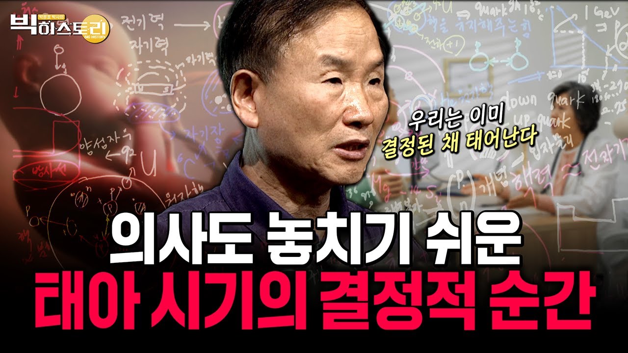 의사도 놓치기 쉬운 태아 시기의 결정적 순간 | 박문호박사의 빅히스토리 EP.58 #박문호 #과학강의 #인문학강의