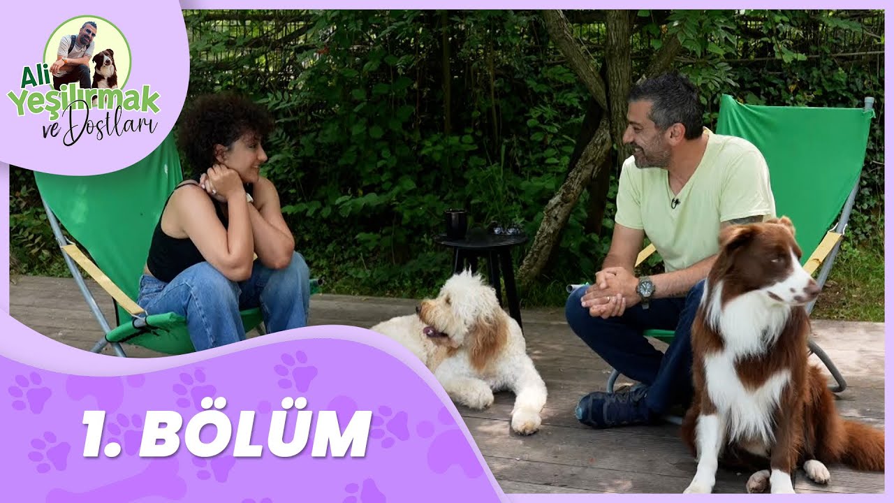 Ali Yeşilırmak ve Dostları 1. Bölüm