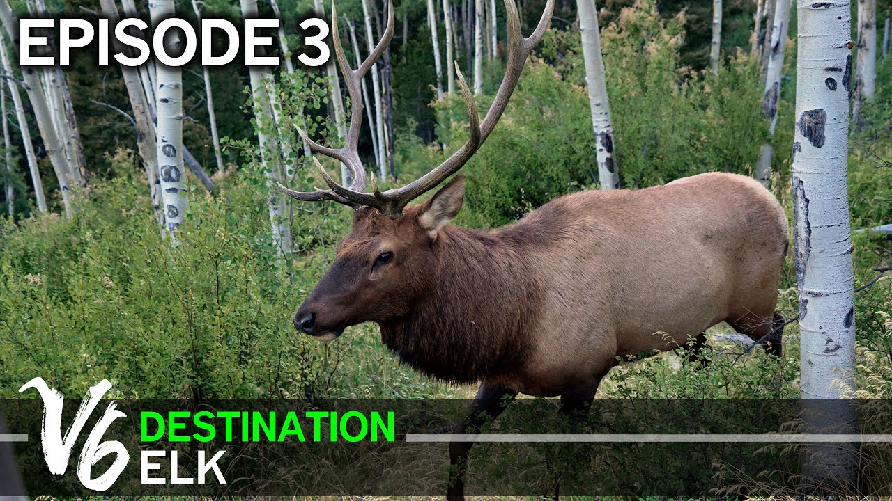 Up Close and Personal with Lonely Jim - Episode 3 (Destination Elk V6)
