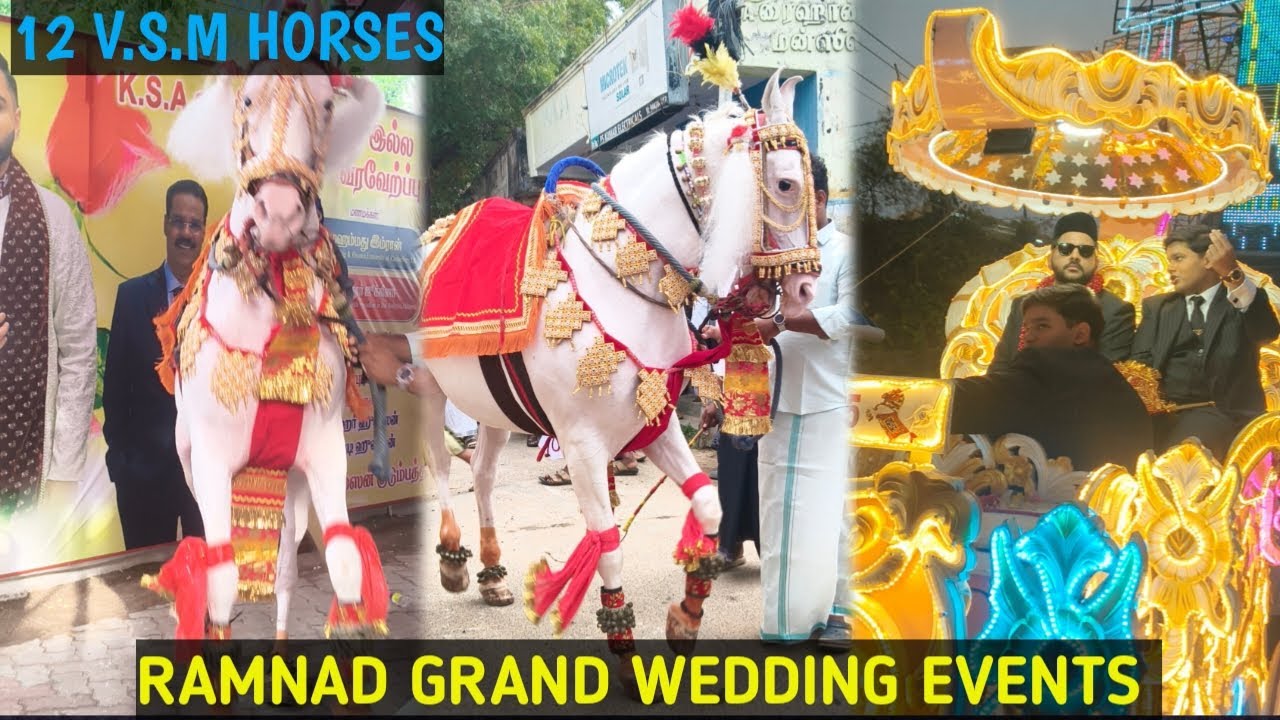 #VSM_HORSE #RAMNAD_EVENTS #BOOK_NOW:8870310135.#ramnad #muslims #nikkahhorse #foreign #Kuwait #erode