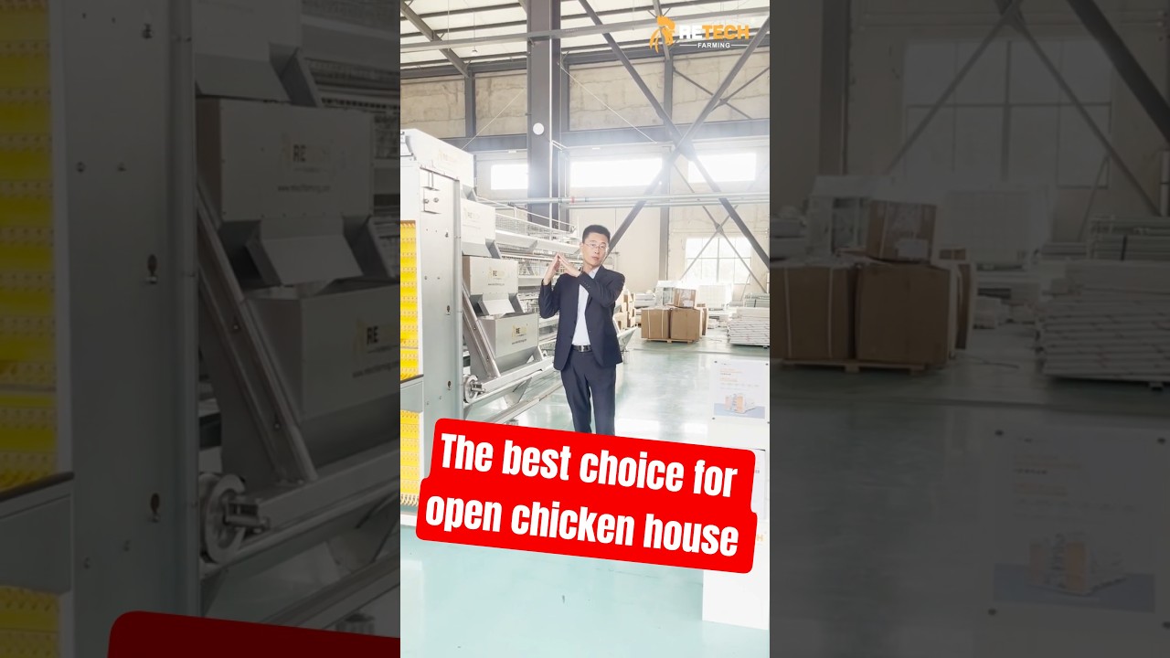 A-Type Layer Cages: The Best Choice for Open House Poultry Farming! - RETECH Farming 