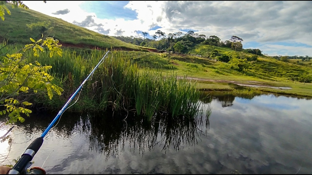 DESCI POR AFLUENTE  DO RIO ALCOBAÇA TESTANDO PONTOS DE TRAÍRA