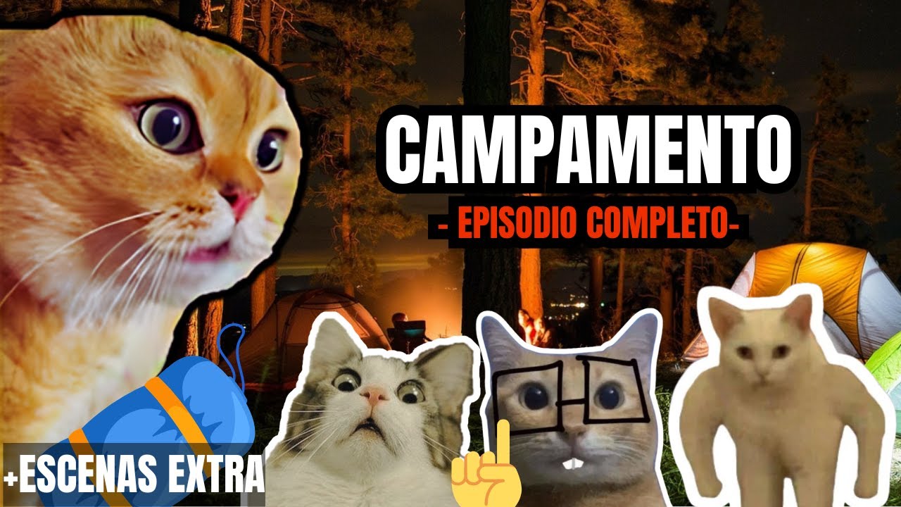 CAMPAMENTO, episodio completo (meme de gatos)