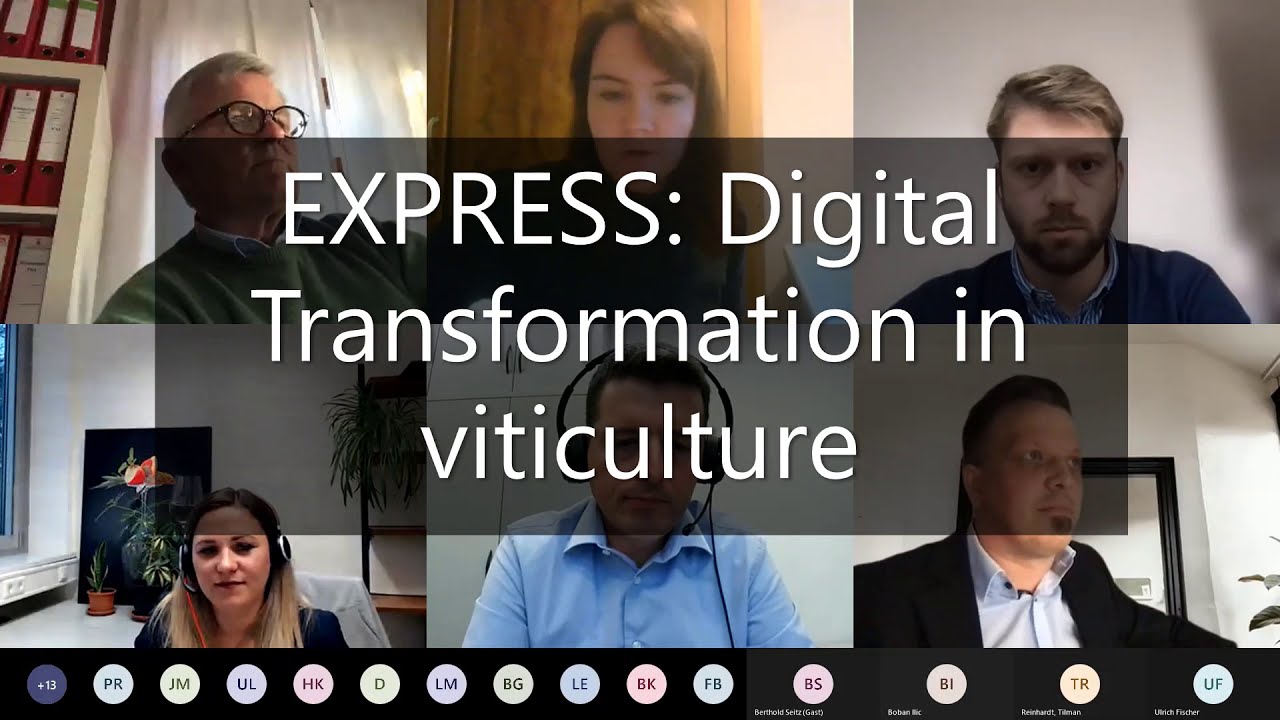EXPRESS: Digital Transformation in viticulture