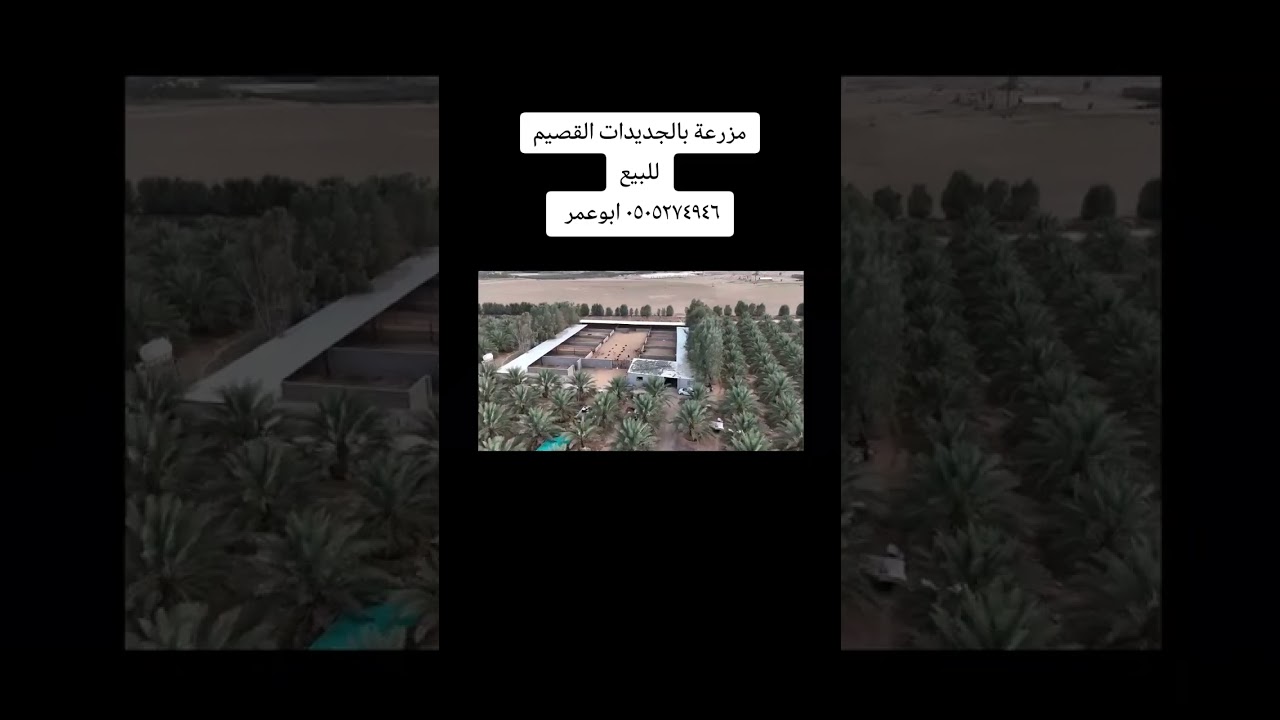 مزرعة فاخر من الاخر للبيع بالقصيم٠٥٠٥٢٧٤٩٤٦ ابوعمر  #اكسبلور #ترند #مزرعة #للبيع# #القصيم#العقيلات