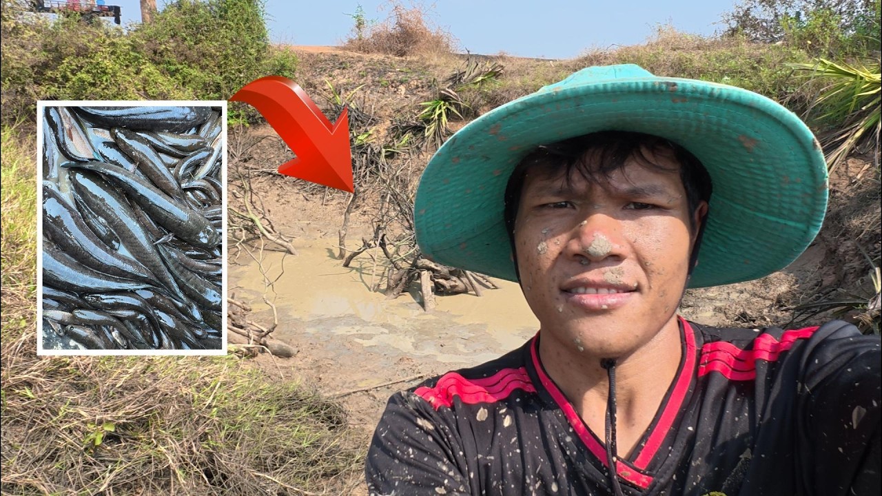 Amazing Fishing Village | Pumping the Pond to Catch Fish | Countryside Life #POVSaRoeurn