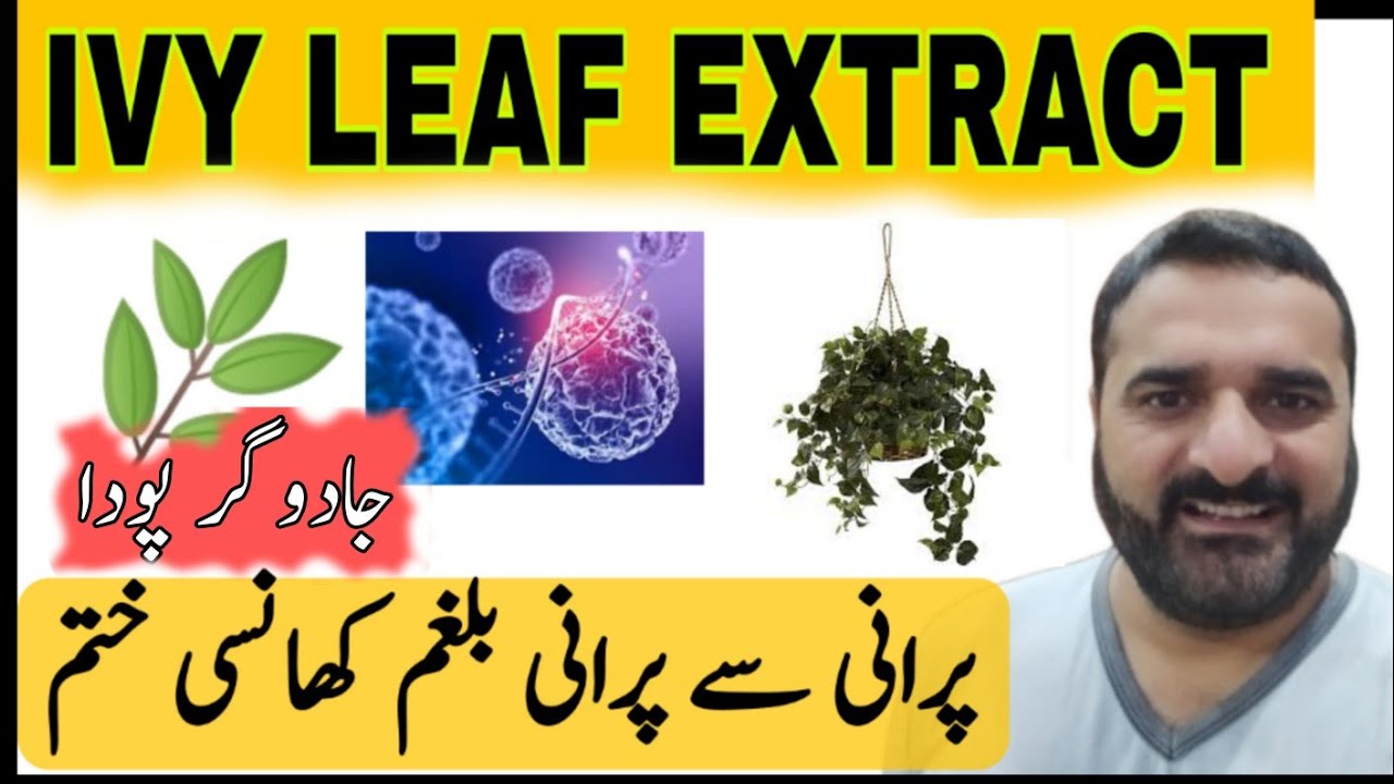 Ivy leaf 🌿 Extract| Dr. Khurram RPh| Khansi and balgham Ka masla hal|