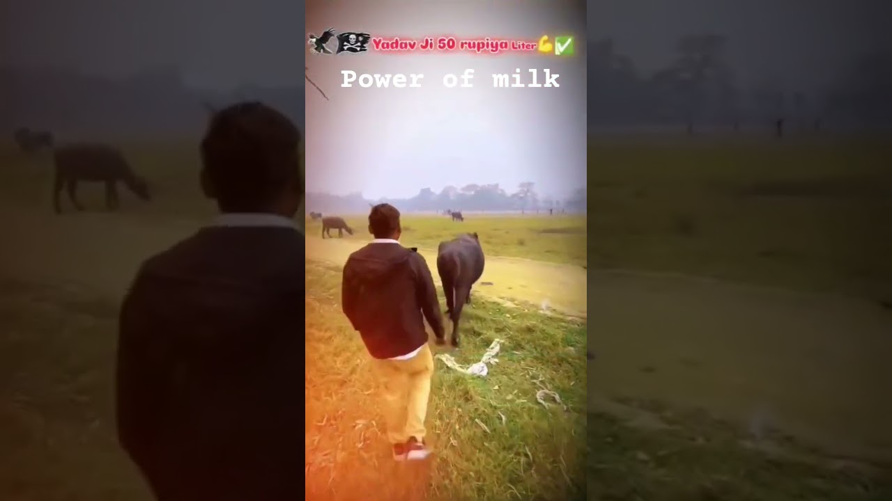 Power of Milk 