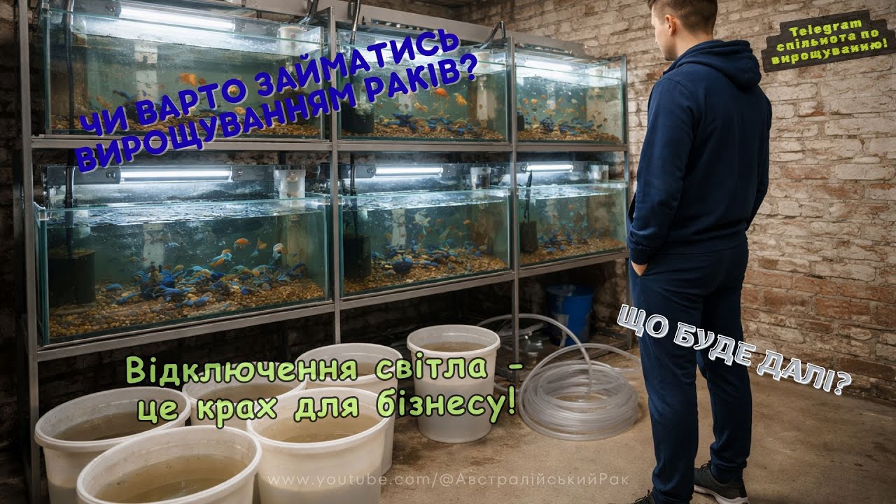 Чи можна заробити на раках без світла? Мій експеримент в домашньому УЗВ