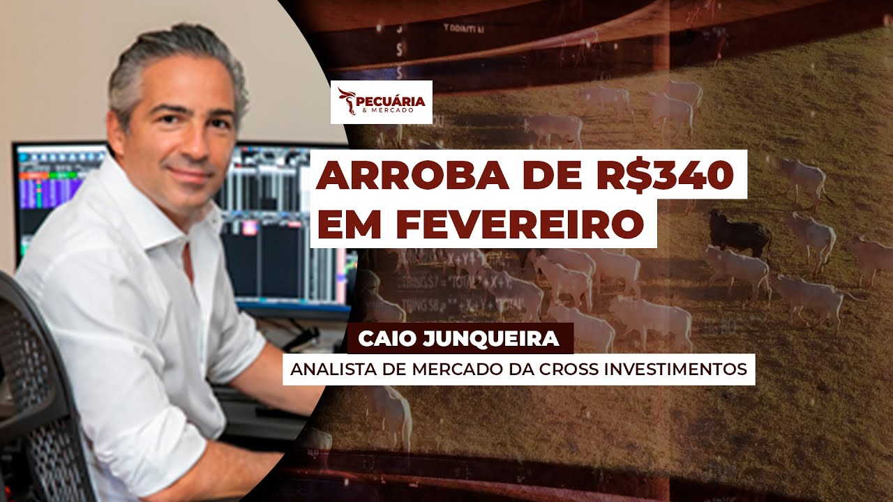 SP já tem negócios pontuais com arroba de R$335 e mercado pode buscar os R$340  em fevereiro...
