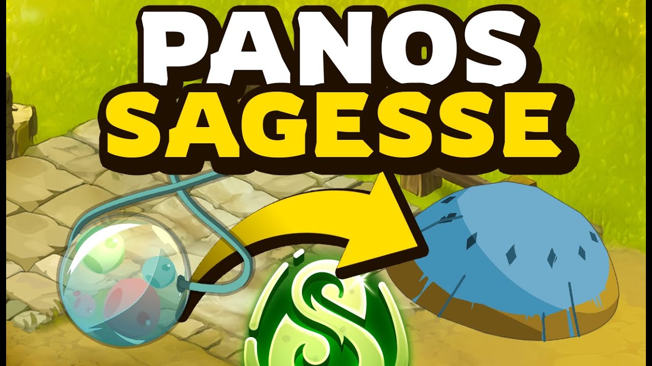 Les STUFFS SAGESSE de DOFUS 3 pour XP jusqu'au lvl 200