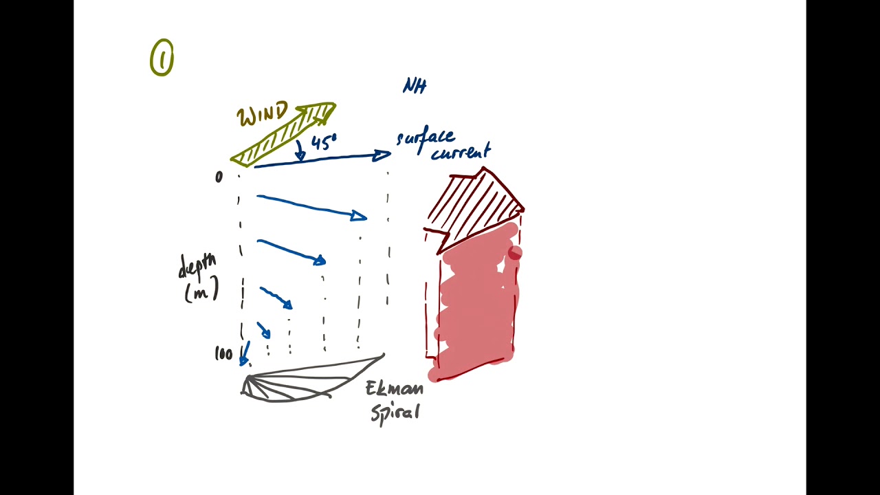Ocean Circulation 1 - Wind Driven