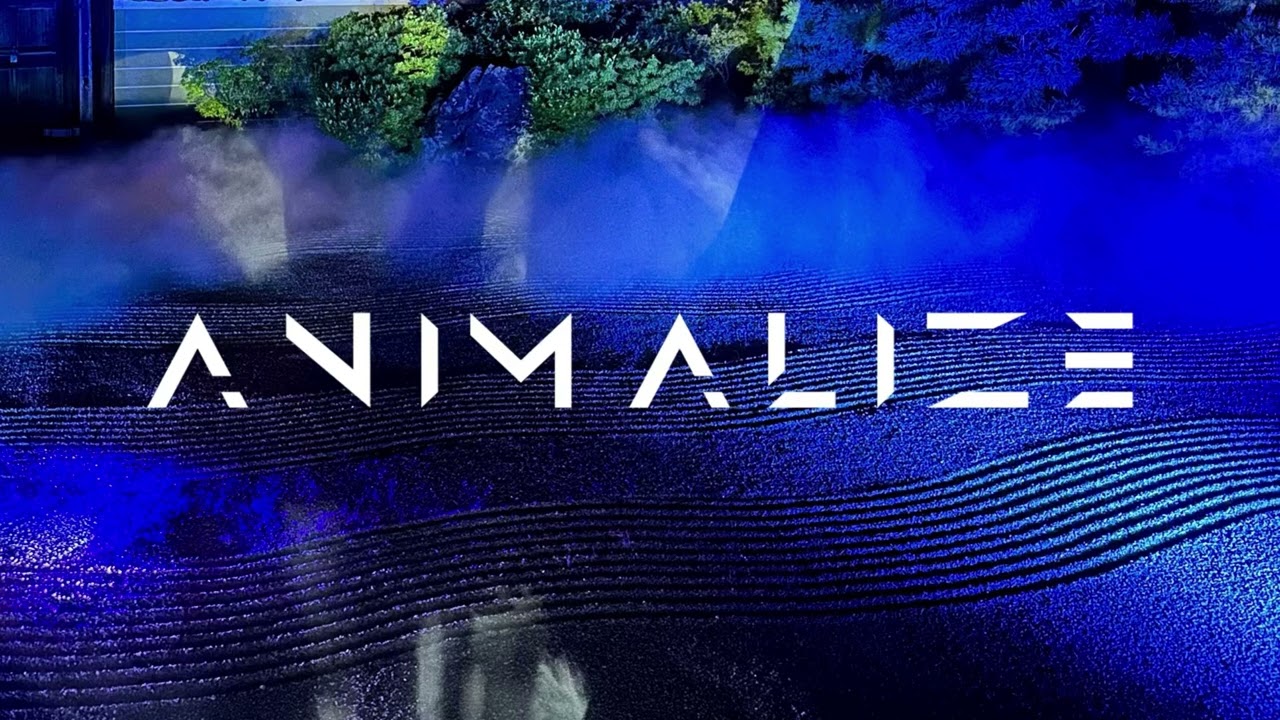 Animalize (UK) ▪️ Melotech Anjuna House Party DJ Set (29.11.24)
