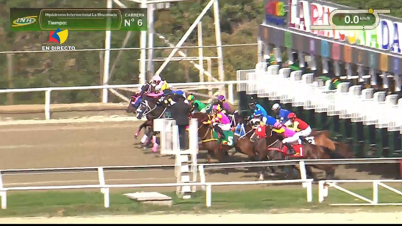6ª. carrera | 1ª. válida | YAREL | Hipódromo La Rinconada | Reunión 06 | 2026