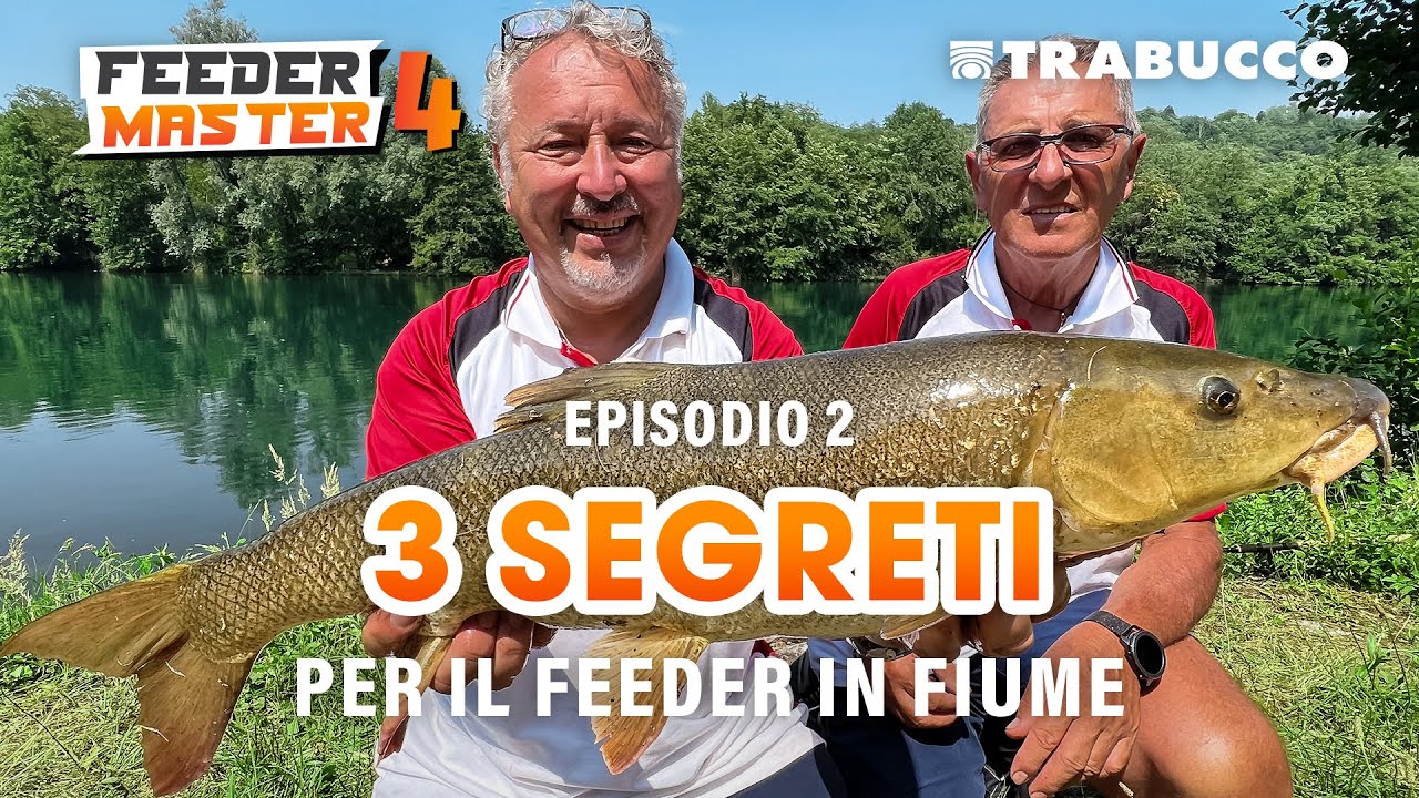 FEEDER in FIUME: 3 SEGRETI che DEVI conoscere + bonus: Barbi » FEEDER Master S4E2 @Trabucco Fishing