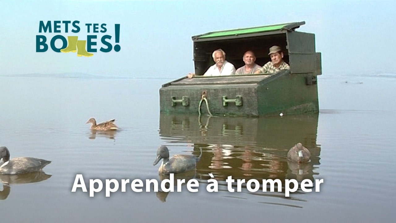 Leurre et appelants : comment les chasseurs trompent le gibier d’eau