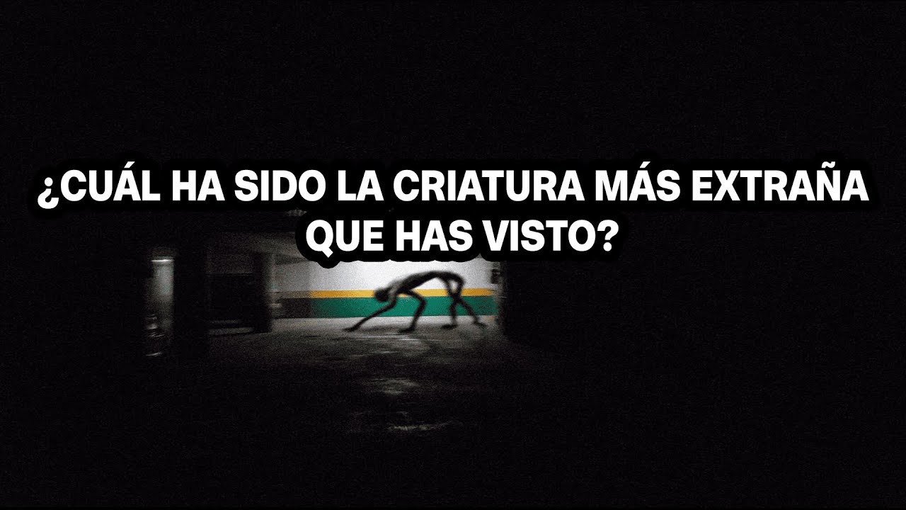 ¿CUÁL HA SIDO LA CRIATURA MÁS EXTRAÑA QUE HAS VISTO?