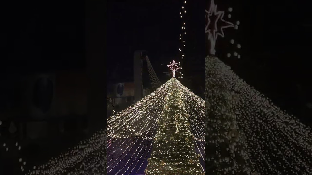 Korça Festive ✨ Magjia e Dimrit në Qytetin e Serenatave @Velox-Al #infopointalbania 