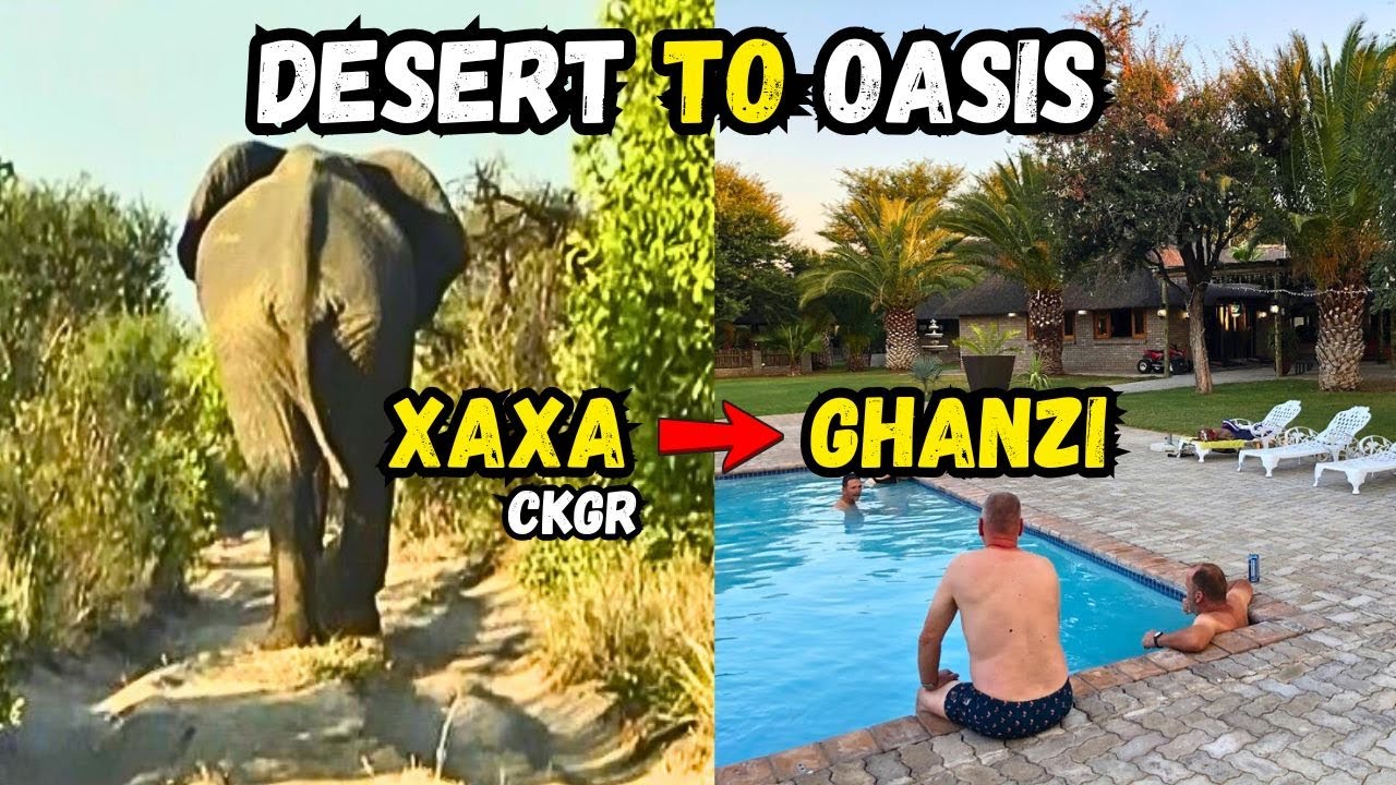 Southern CKGR - Bailing Out (Xaxa to Ghanzi Palm Afrique) | BOTSWANA 4x4 Ep4 #kalahari