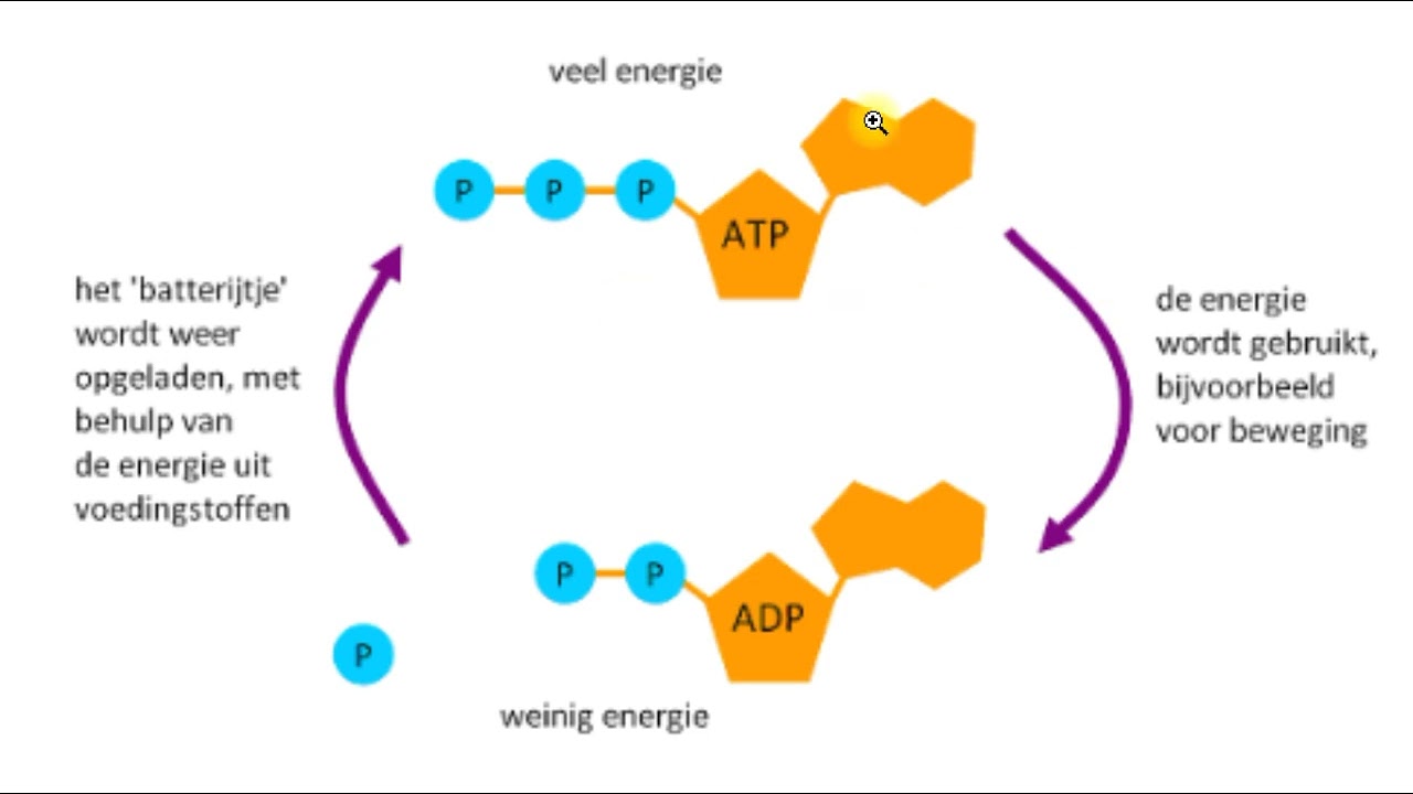 4H - Nectar - H5 - Energie opslaan en gebruiken