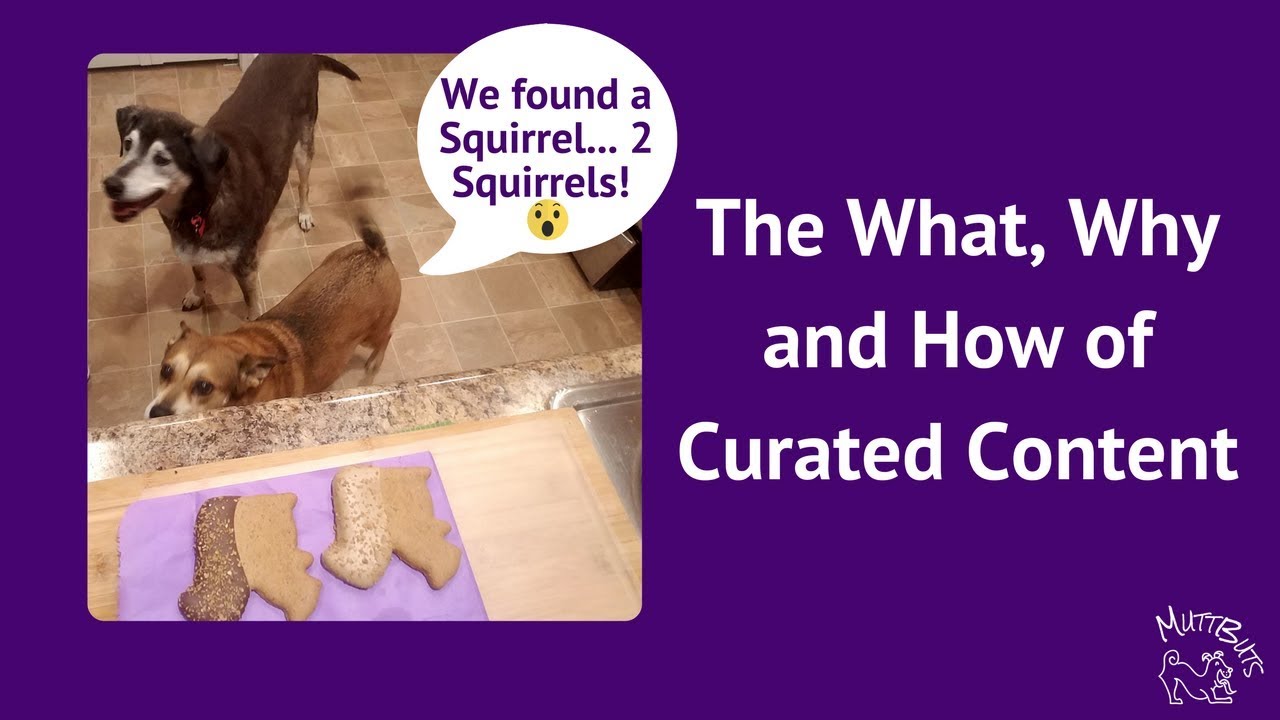 The What, Why and How of Curated Content
