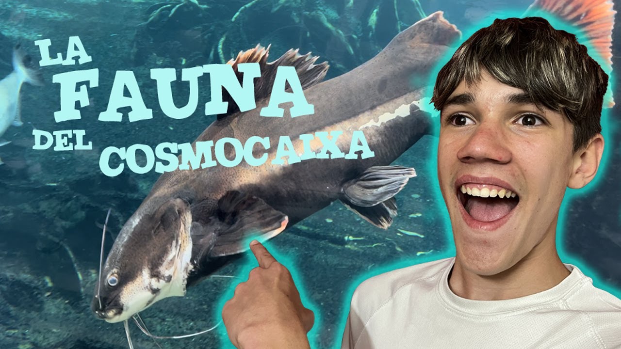 La fauna del CosmoCaixa