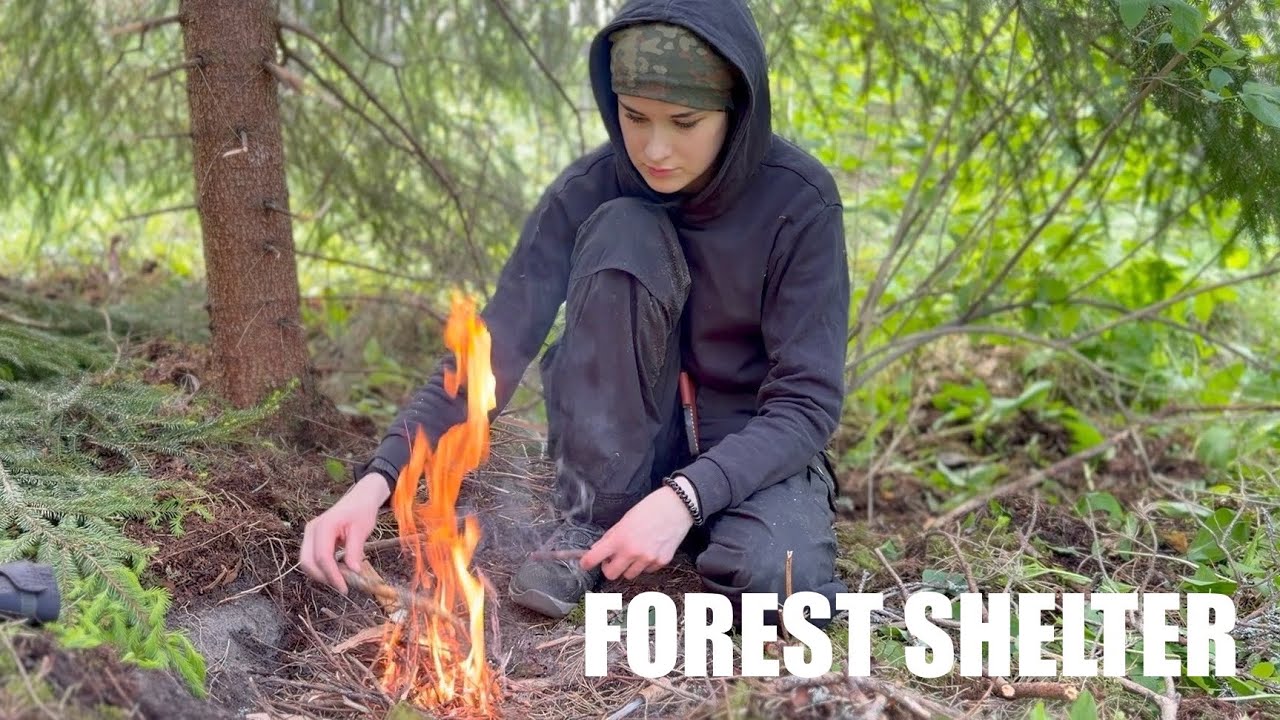 Finding Shelter in the Forest