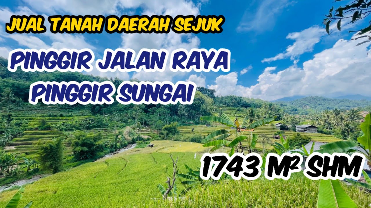Tanah Sawah Sisi Sungai Pinggir Jalan Raya Udara Sejuk Luas 1743 m2 Rp 650 Jt Rancakalong Sumedang