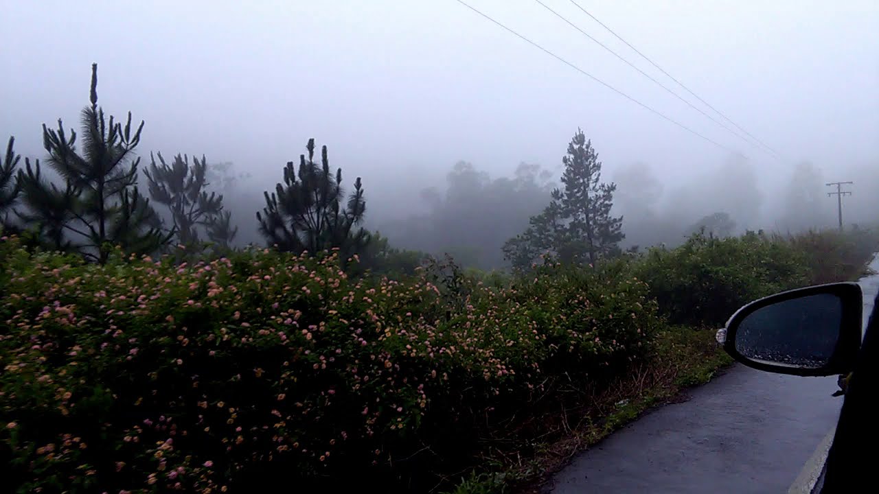 Driving down a foggy road at Pont Bon Dieu, Mauritius. FOGGY SCENERY + NICE MUSIC