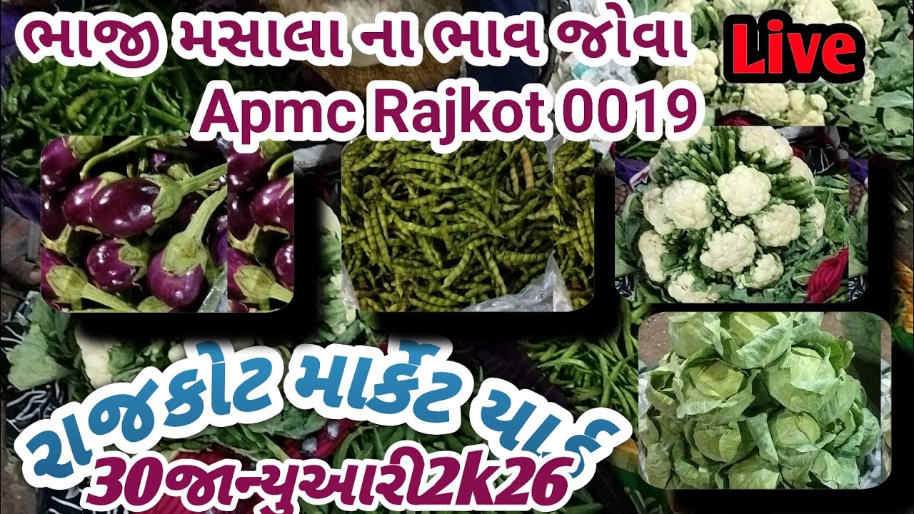 Rajkot market yard 30/01/2026 green vegetable price market yard 