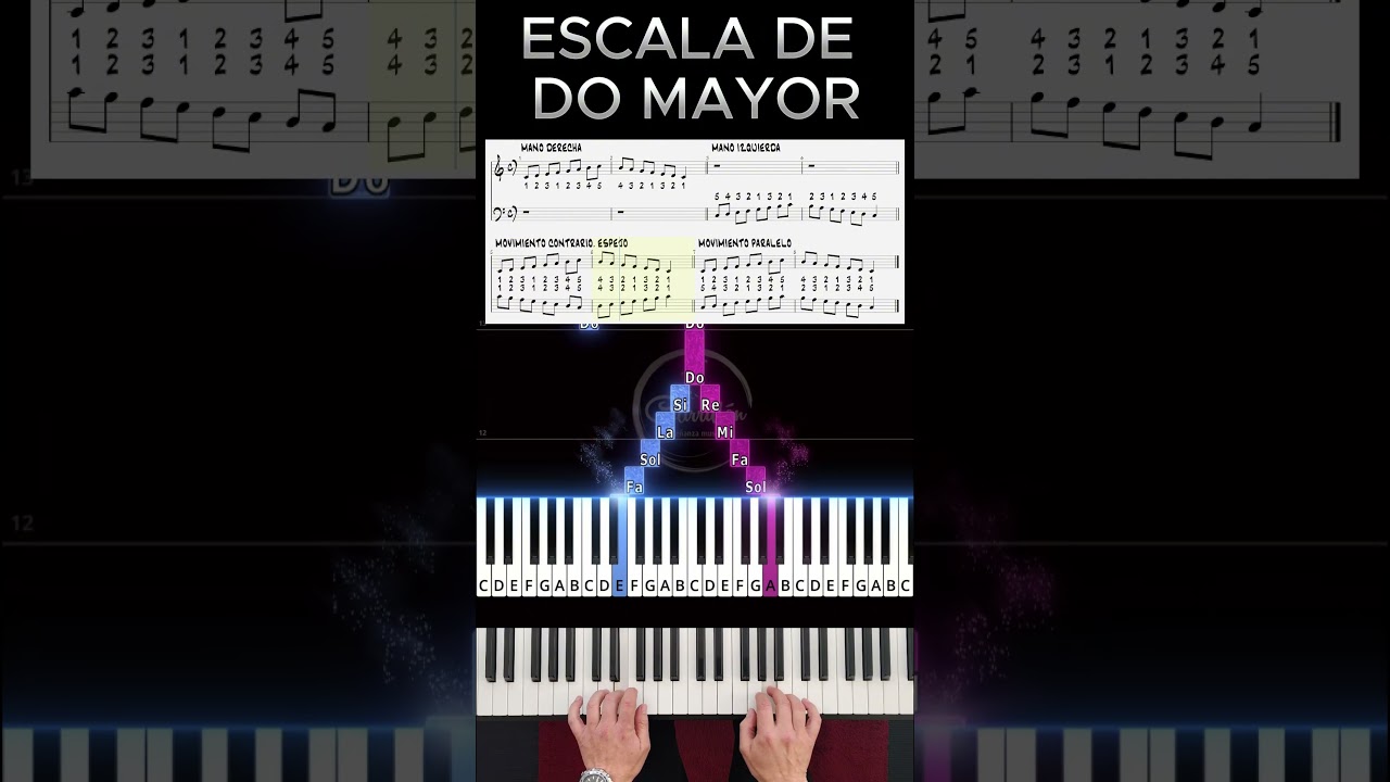 ESCALA DO MAYOR. #piano #learn #escalas #tutorial  #lesson #piano #pianotutorial #pianomusic