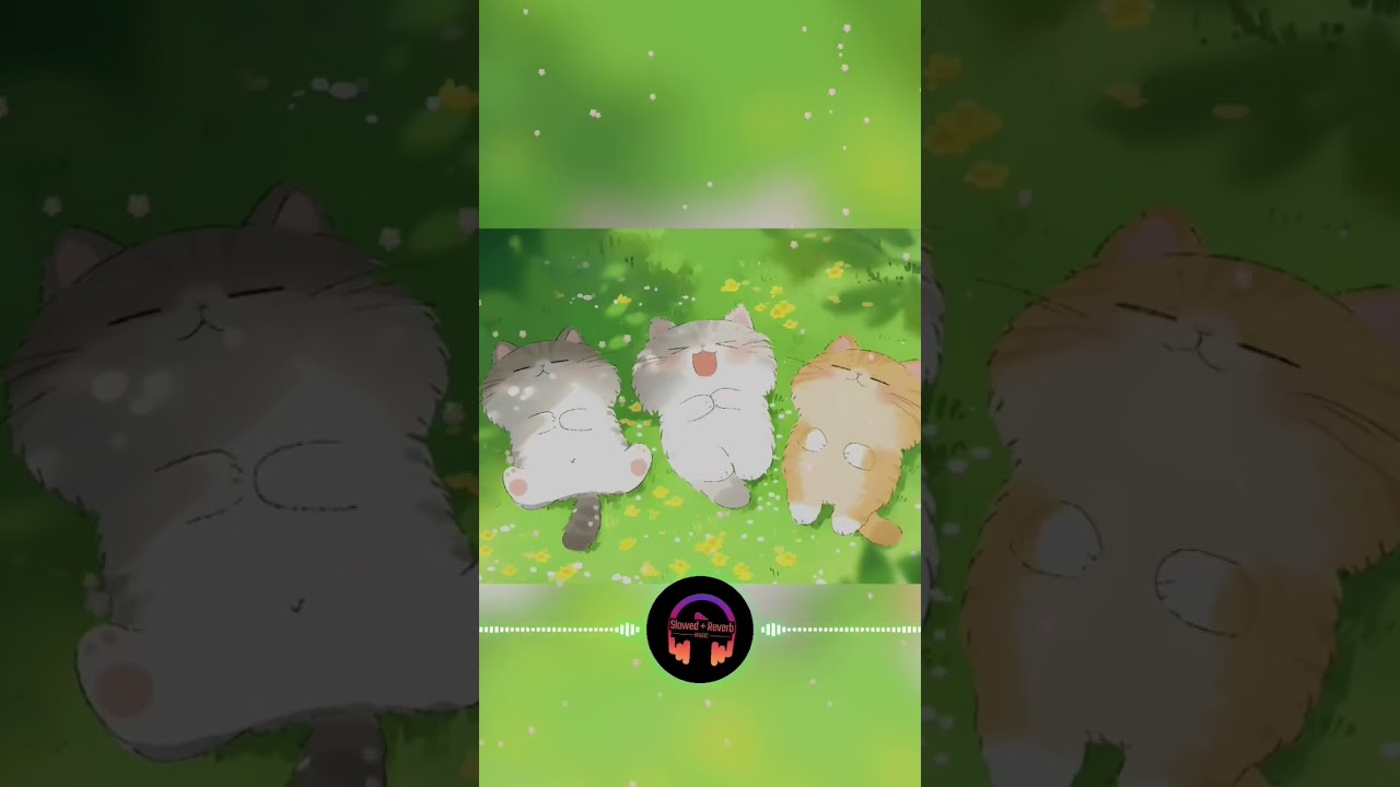 linga guli guli - Zachz Winner (Slowed+Reverb) 