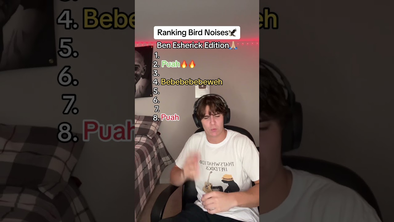I ranked the best bird noises