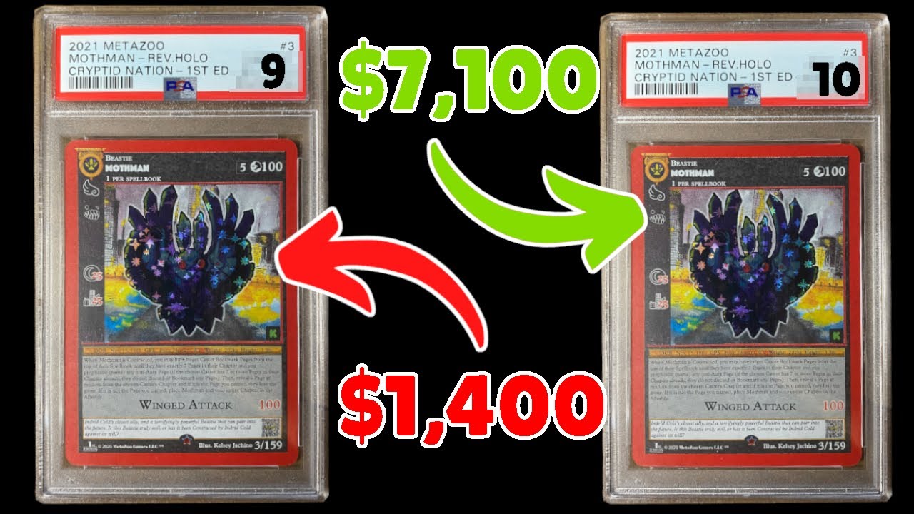 Metazoo Kickstarter Mothman PSA Return - Did We Hit the Jackpot or Waste Our Money?
