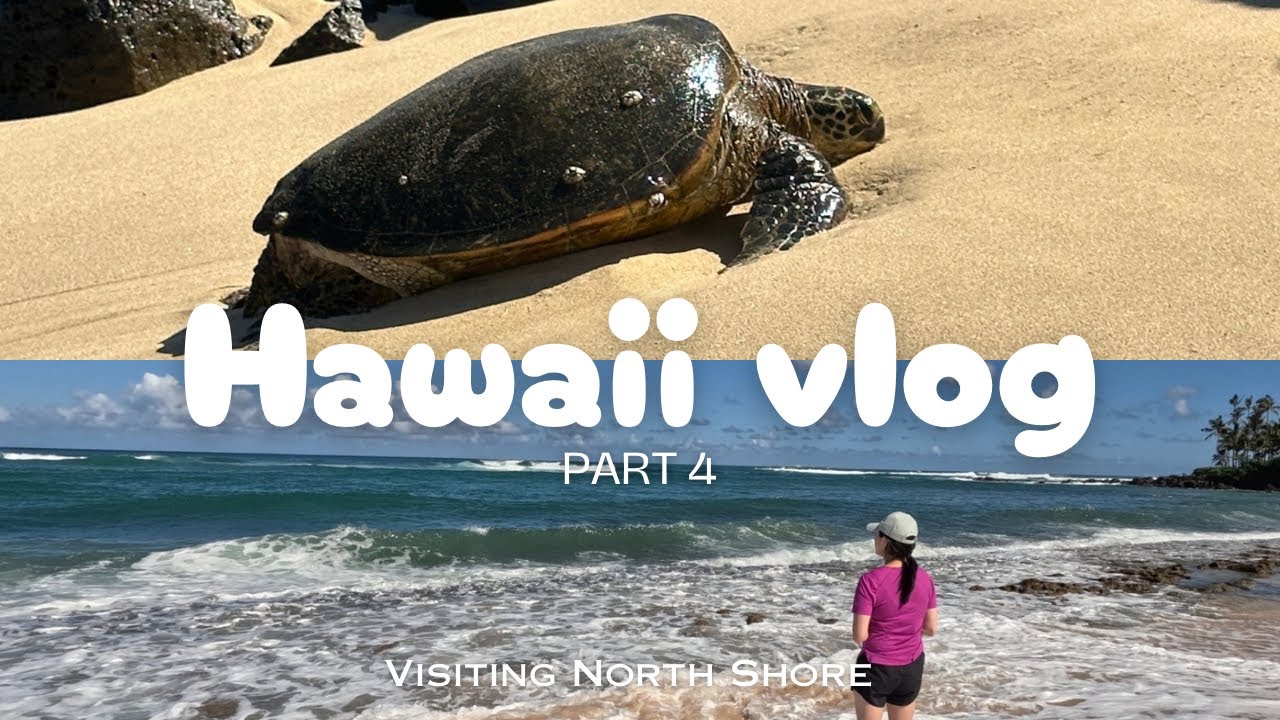 Hawaii vlog | Visiting North Shore: turtles, snorkeling