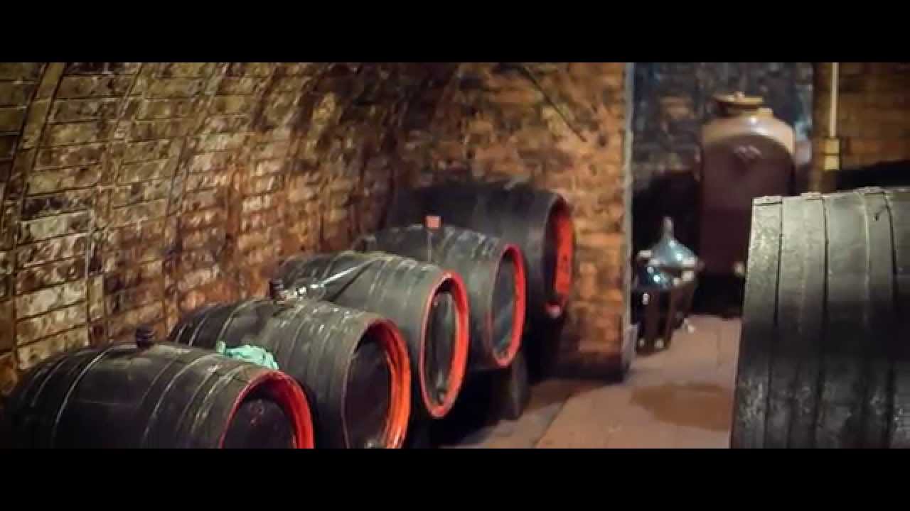 Vinarsky Penzion - Vinn&yacute; skl&iacute;pek Machal&iacute;nek, Czechy Morawy Hovorany