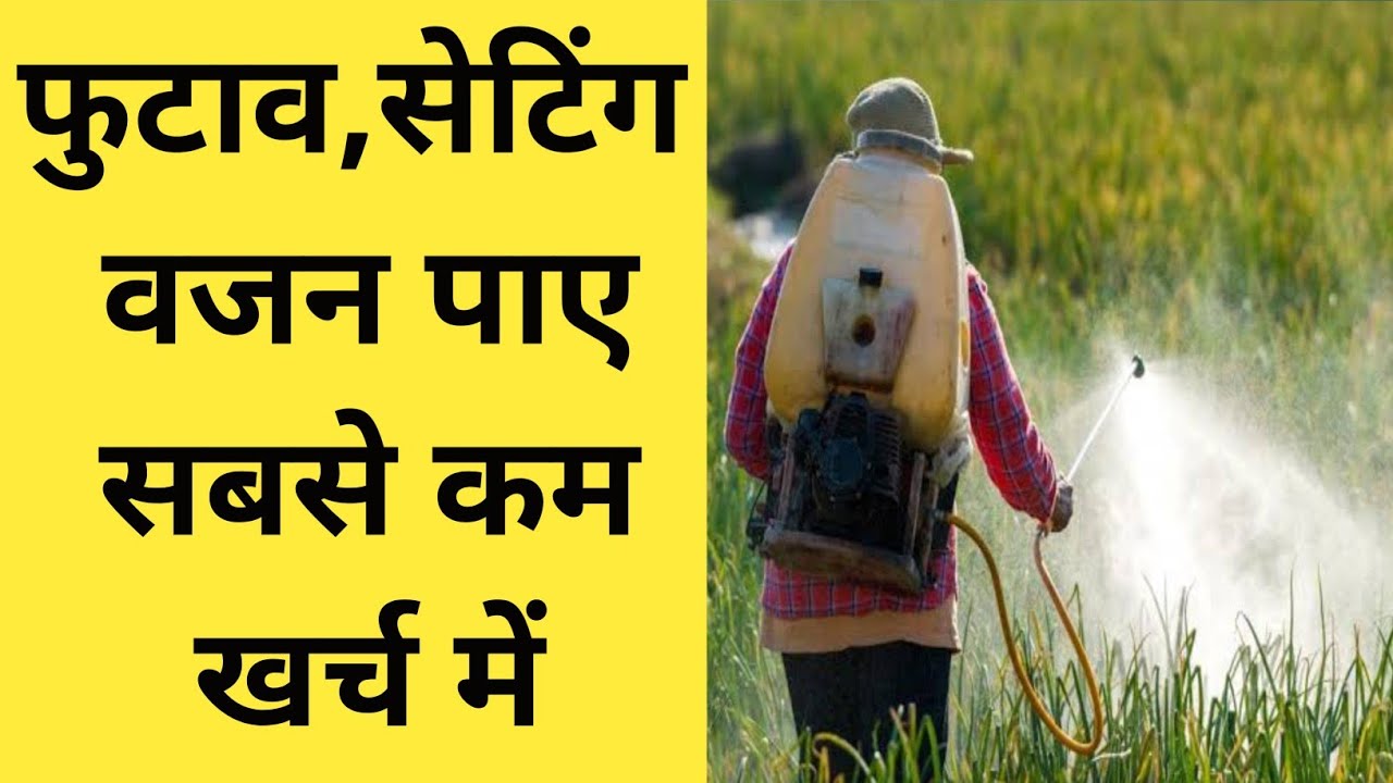 कम समय में फुटाव सेटिंग और वजन के लिए बेस्ट 3 कॅाम्बीनेशन । pesticide combination