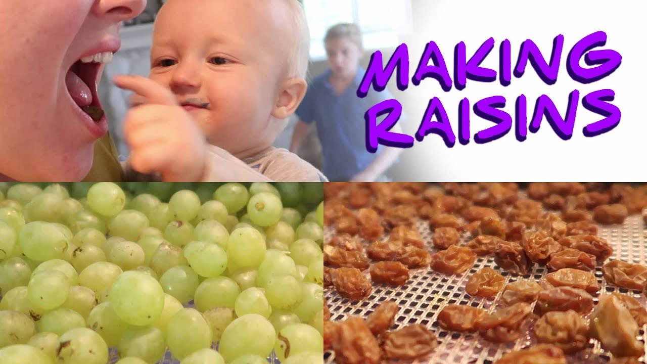 Making Raisins - Turning Grapes from our Garden into Raisins!