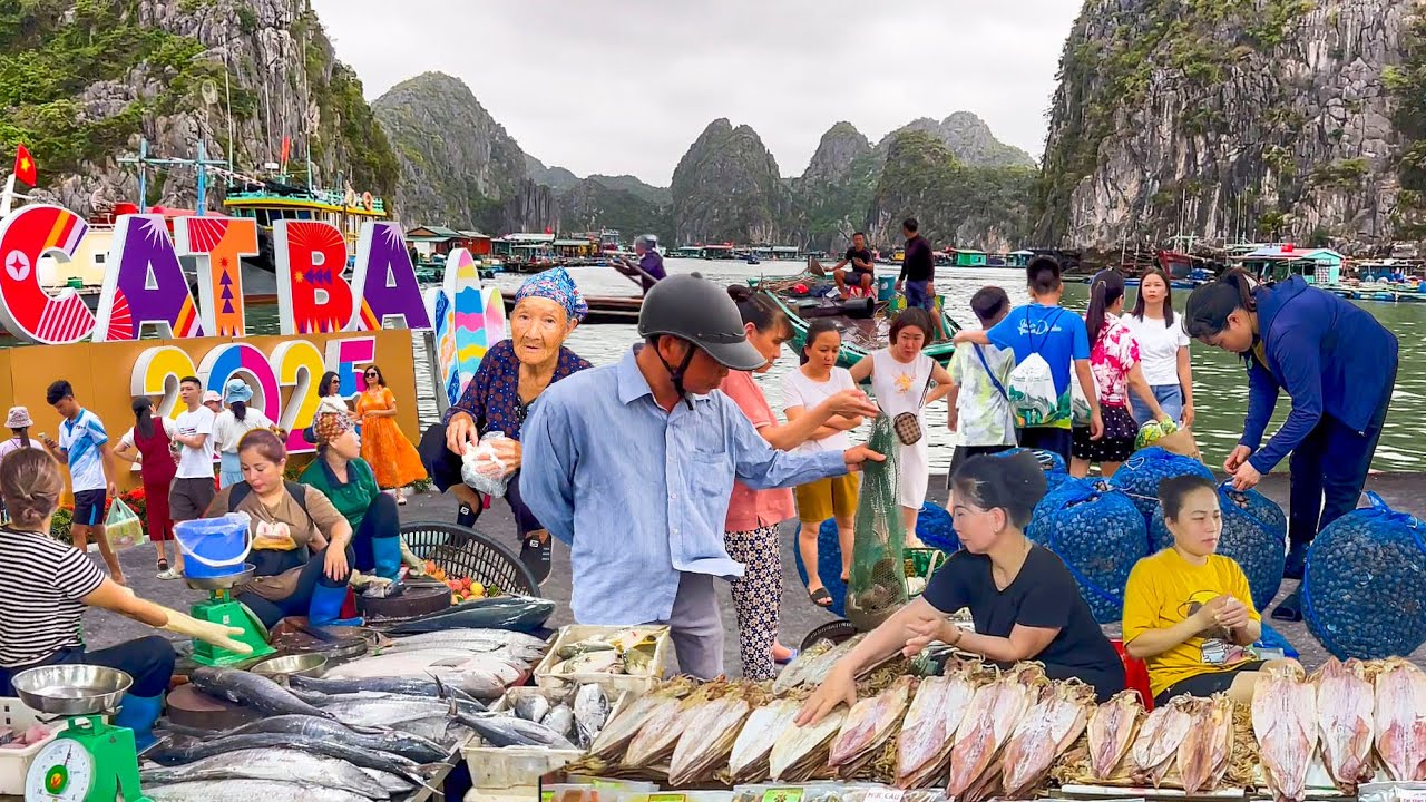 Đảo Cát Bà Nổi Tiếng Nhất Hải Phòng║Làng Chài Nổi Cổ 7000 Năm
