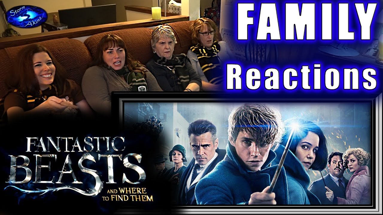 FANTASTIC BEASTS and Where to Find Them | FAMILY Reactions | Fair Use
