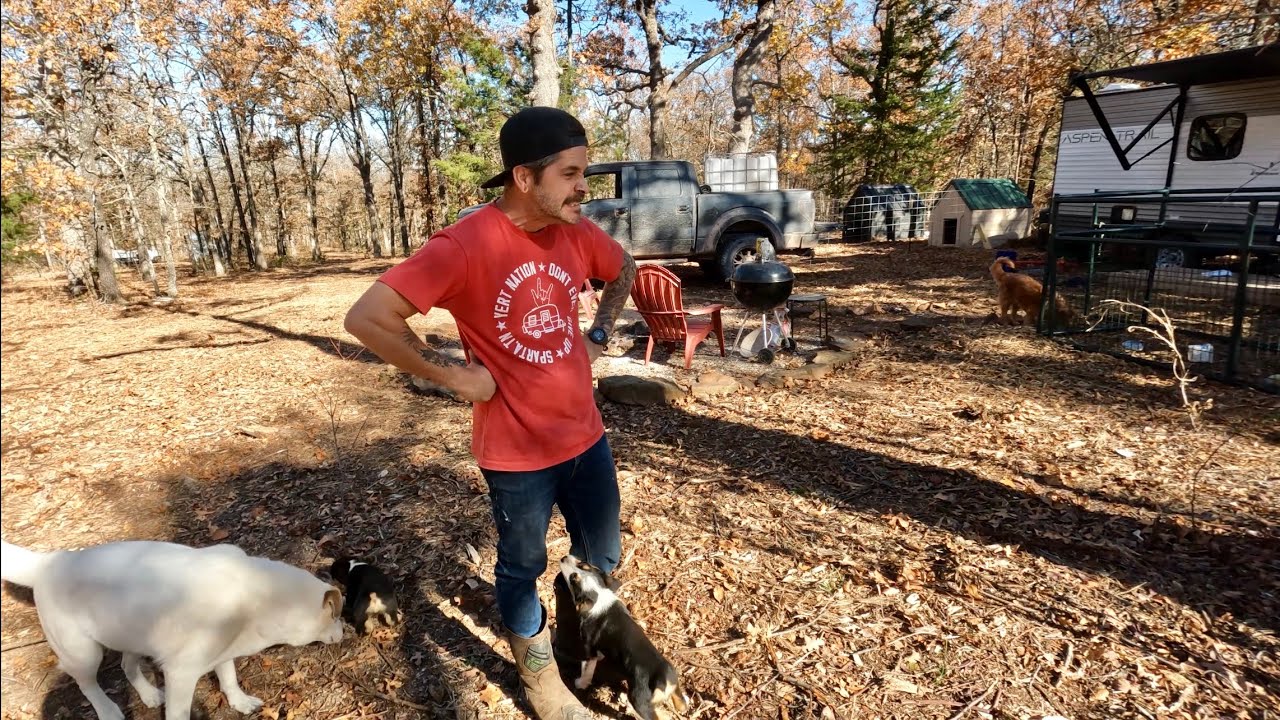 Dogs First Day On Someday Ranch / We Have A Dilemma! Can Jason Figure It Out??