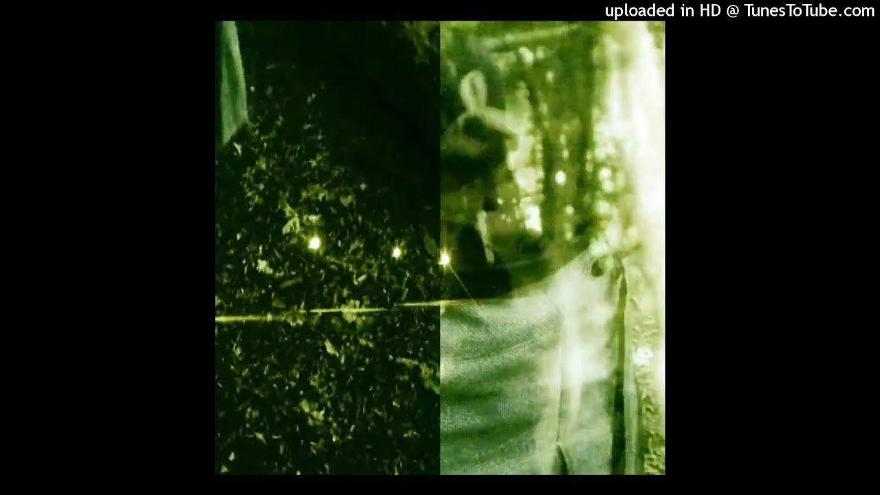 [free for profit] botanica + ambient type beat 