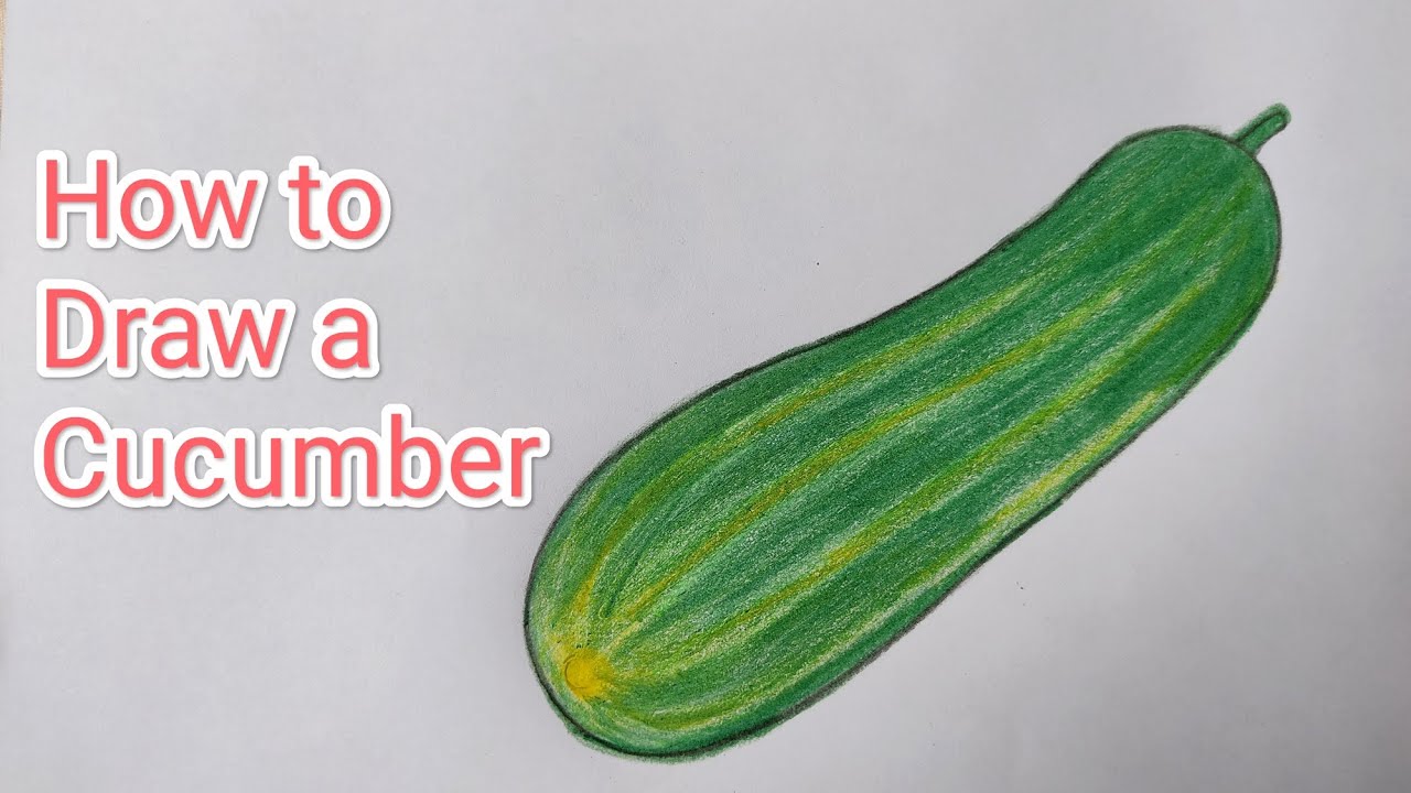 How to draw a cucumber easily// Easy cucumber drawing step by step